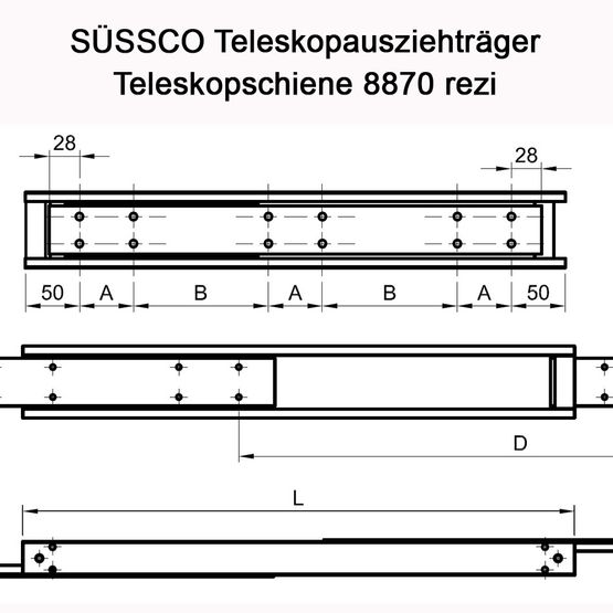 Süssco GmbH & Co. KG Regalsysteme Schwerlast-Teleskopschiene 8870 rezi 02