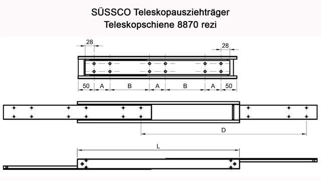 Süssco GmbH & Co. KG Regalsysteme Schwerlast-Teleskopschiene 8870 rezi 02