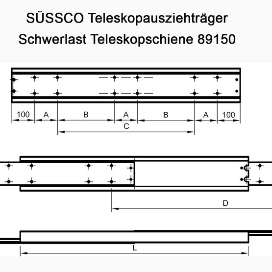 Süssco GmbH & Co. KG Regalsysteme Schwerlast-Teleskopschiene 89150 02