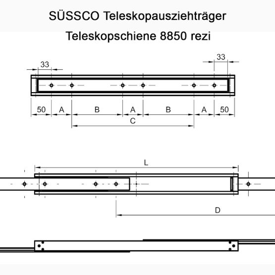 Süssco GmbH & Co. KG Regalsysteme Schwerlast-Teleskopschiene 8850 rezi 02