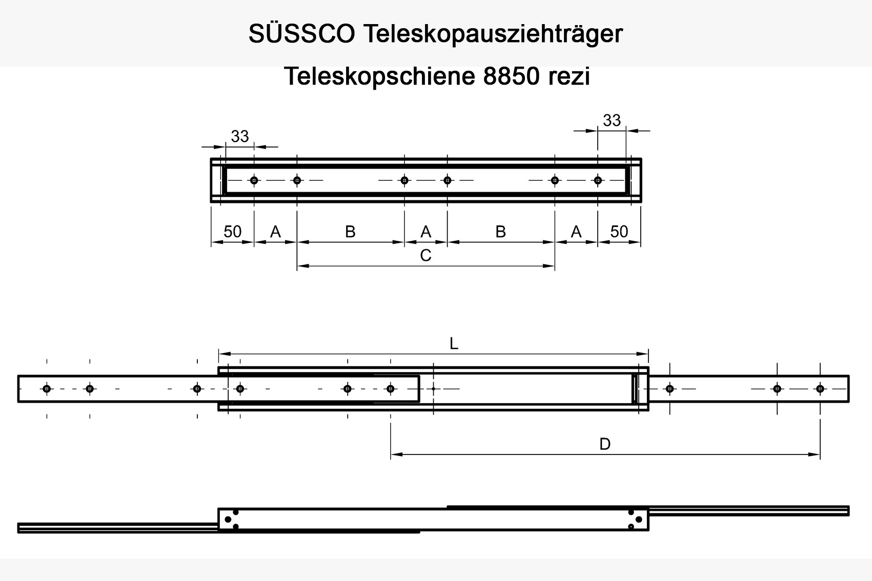 Süssco GmbH & Co. KG Regalsysteme Schwerlast-Teleskopschiene 8850 rezi 02
