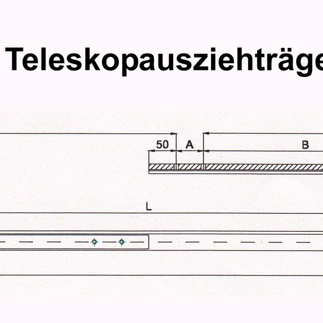 Süssco GmbH & Co. KG Regalsysteme Schwerlast-Teleskopschiene 8017HS 03