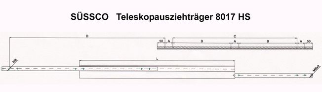 Süssco GmbH & Co. KG Regalsysteme Schwerlast-Teleskopschiene 8017HS 03