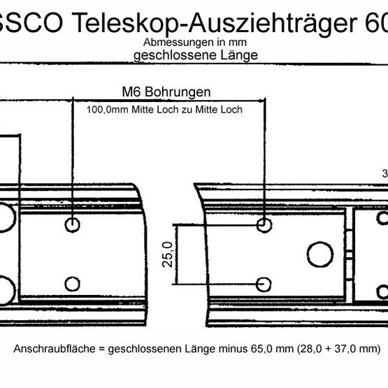 Süssco GmbH & Co. KG Regalsysteme Teleskopschiene 6000 02