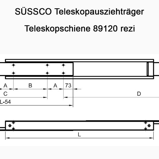 Süssco GmbH & Co. KG Regalsysteme Schwerlast-Teleskopschiene 89120 rezi 02
