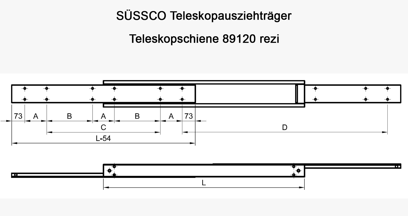 Süssco GmbH & Co. KG Regalsysteme Schwerlast-Teleskopschiene 89120 rezi 02