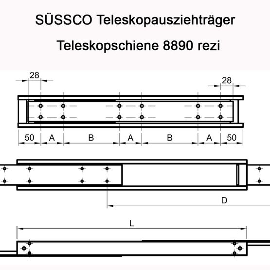 Süssco GmbH & Co. KG Regalsysteme Schwerlast-Teleskopschiene 8890 rezi 02
