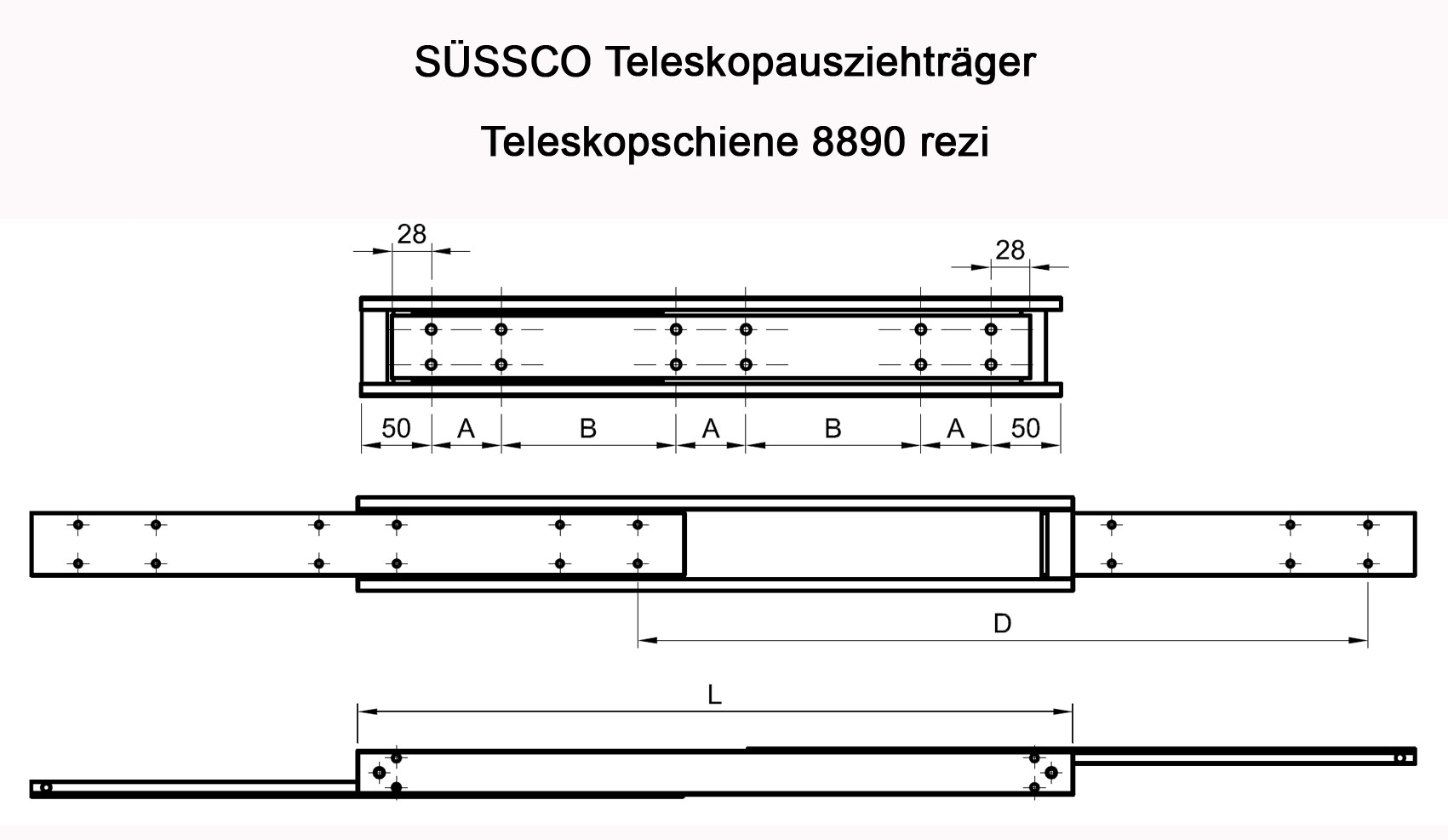Süssco GmbH & Co. KG Regalsysteme Schwerlast-Teleskopschiene 8890 rezi 02