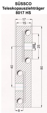 Süssco GmbH & Co. KG Regalsysteme Schwerlast-Teleskopschiene 8017HS 02